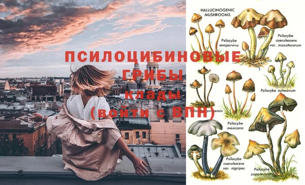 синтетический гашиш Алексеевка